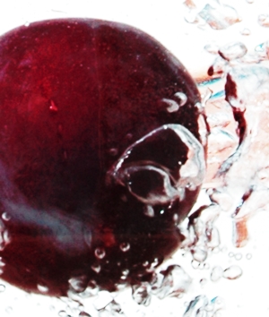 Learn more about the Solo Exhibition opportunity at G25N!