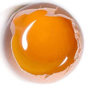 Learn more from BWAC!