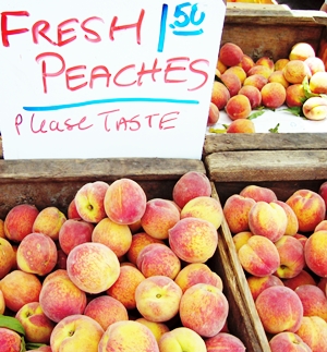 Learn more from Filter Photo!