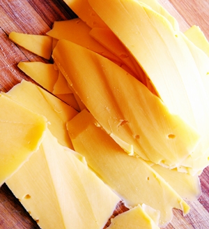 Learn more from the Non-Fiction Gallery!