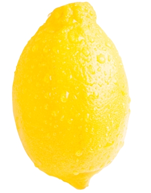 Learn more from the Shoe Factory Arts!