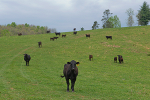 Learn more from Don't Take Pictures!