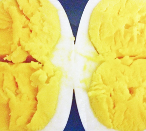 Learn more from the Darkroom Gallery!