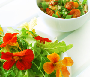 Learn more from the Raebec Gallery!