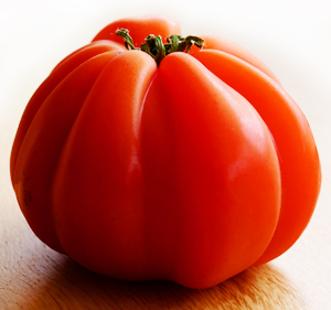 Learn more from Old Furnace Artist Residency!