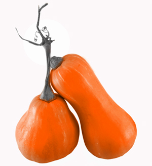 Learn more about 360 Xochi Quetzal!