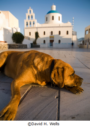 Learn more about the Far Away Places exhibit from the Darkroom Gallery!