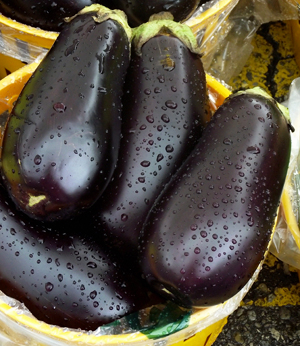 Learn more about the Far Away Places exhibit from the Darkroom Gallery!