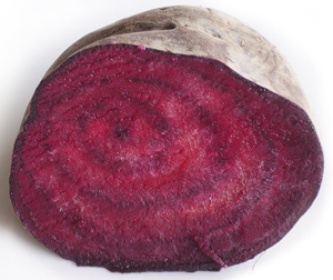 Learn more from Gallery 263!