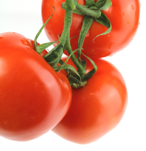 Learn more from Gallery PH21!