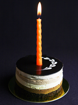 Learn more about The Tiny Art Show!