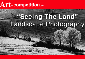 Learn more from art-competition.net!