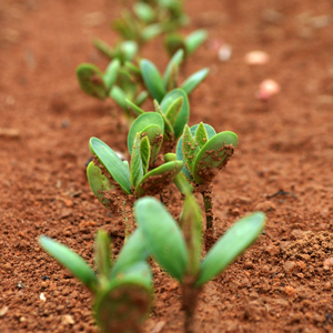 Learn more from art-competition.net!