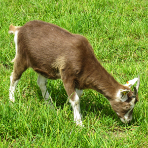 Learn more from art-competition.net!