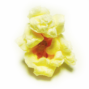 Learn more about Featured Artist painter Emily Mitchell!