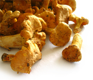 Learn more from the Darkroom Gallery!