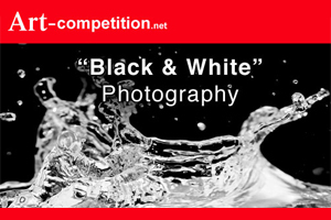 Learn more from Art-Competition.net!