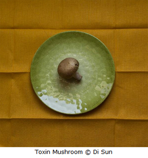 Learn more from Darkroom Gallery!