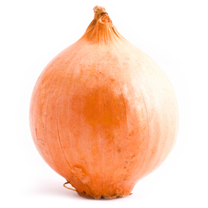 Learn more from Fresh Paint Magazine!