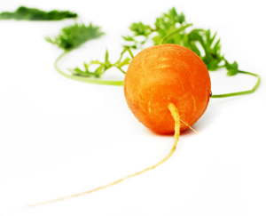 Learn more from Oil Painters of America!