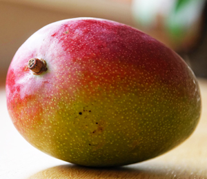 Learn more from Autonomie Projects!