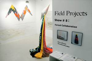 Learn more from Field Projects!