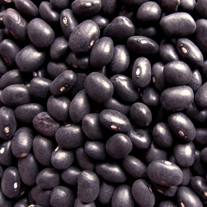 Learn more from Field Projects!