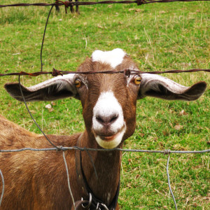 Learn more from F-Stop Magazine!