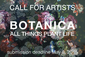 Learn more from the Bedford Gallery!