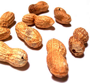 Learn more from the Non-Fiction Gallery!