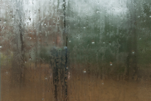 Learn more from Don't Take Pictures!