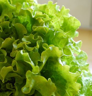 Learn more from art-competition.net!