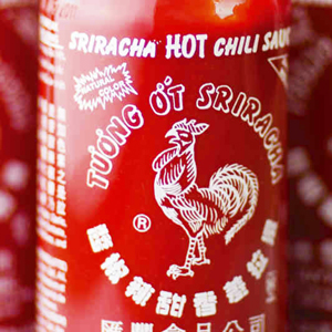 Learn more from the American Service Friends Committee!