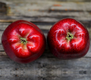 Learn more from the R Dixon Gallery!