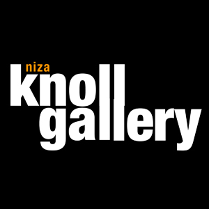 Learn more about the Digital Dimensions exhibit from the Niza Knoll Gallery!