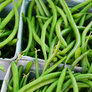 Learn more about the Finding Our Place exhibit at Annmarie Sculpture Garden and Arts Center!