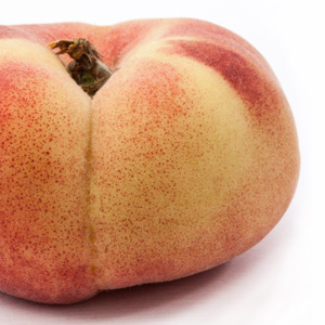 Learn more from Fresh Paint Magazine!