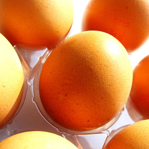 Learn more about Patterns Observed or Created from Exhibitions without Walls!