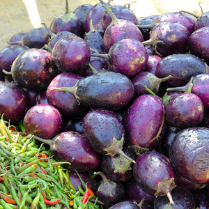 Learn more about the Beauty Exhibit from Meridian Street Gallery!