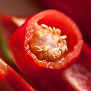 Learn more about the 9 x12 Works on Paper Exhibit from Fort Worth Community Art Center!