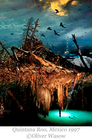 Learn more about the Oddity Exhibit from Darkroom Gallery!