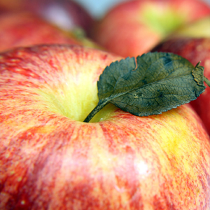 Learn more about the Touch Exhibit from the Arrowmont School!