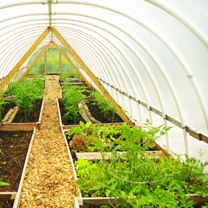 Learn more from Fresh Paint Magazine!