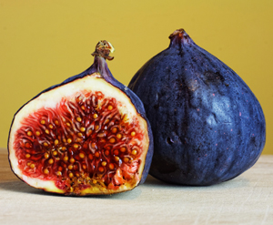 Learn more from the Non-Fiction Gallery for the Gift You Never Wanted exhibit!