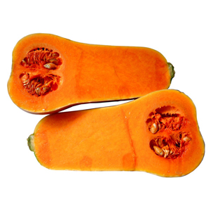 Do not miss an opportunity for a SOLO ART SHOW at Las Laguna Gallery!