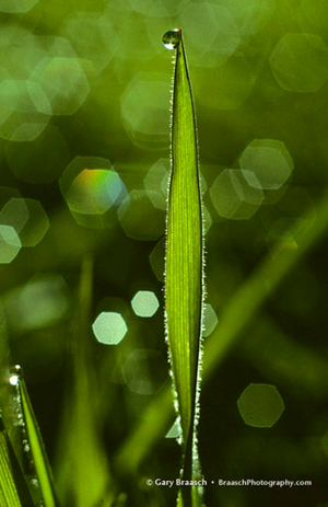 Learn more about H2O Exhibit at the Darkroom Gallery!