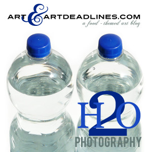 Learn more about H2O Exhibit at the Darkroom Gallery!