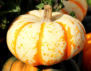 Learn more about Scapes II from art-competition.net!