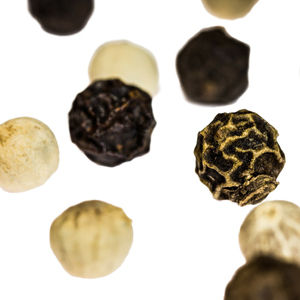 Learn more about the 12x12 exhibit from MTSUs Todd Art Gallery!