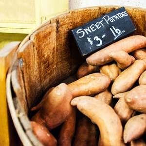 Learn more from WorkingArtist.org!